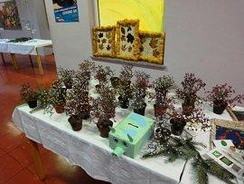 Kulturno-tehniški dan na OŠ Dragotina Ketteja 3